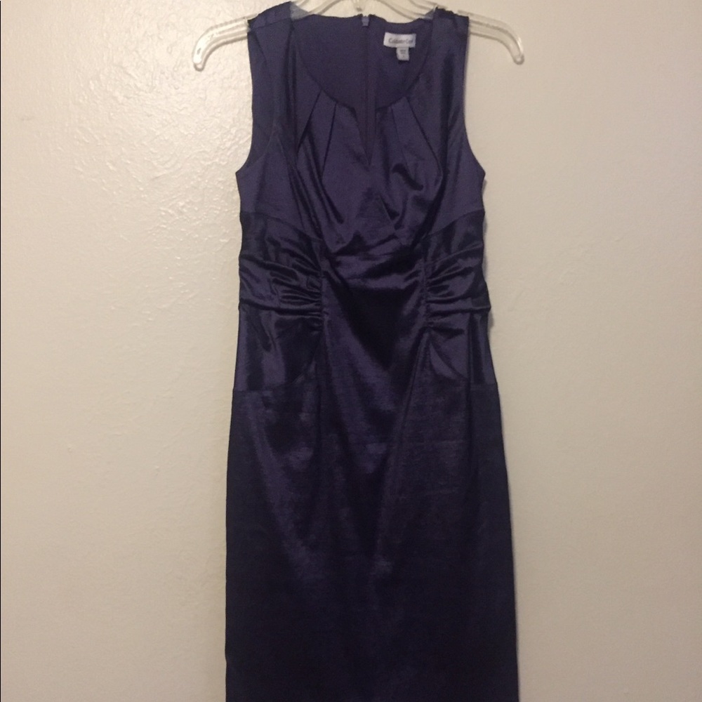 ✅LikeNew Plum Sleeveless Knee Length Dress